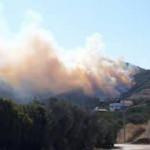 Mudanya'da &ccedil;ıkan orman yangını kontrol altına alındı