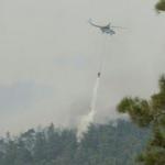 Bakan Pakdemirli duyurdu: Muğla K&ouml;yceğiz yangını kontrol altına alındı