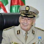 Cezayir'de 69 kişinin &ouml;ld&uuml;ğ&uuml; yangınlarla ilgili "komplo" a&ccedil;ıklaması 