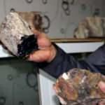 Erzurum'daki ağaç fosillerinde 160-170 milyon öncesinin izi bulundu