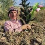 Fidan bağışına dikkat çekmek için toprağı kazıp kendini diri diri gömdü