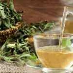 Melisa çayının faydaları nelerdir? Melisa çayı nasıl demlenir, hangi hastalıklara iyi gelir?