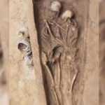 “Mezara kadar aşkı” simgeleyen bir çifte ait 1600 yıllık iskeletler bulundu