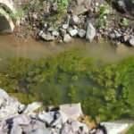 Musluklardan yeni bir salgın mı akacak? İBB'ye b&uuml;y&uuml;k tepki