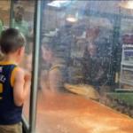 Timsah hayvan terbiyecisinin elini kaptı: &Ccedil;ocukların g&ouml;z&uuml; &ouml;n&uuml;nde oldu