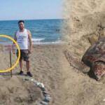 22 yıldır ilk kez! Dünyada çok nadir görülen olay Mersin'de yaşandı