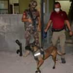 Adana'da torbacı operasyonu! Gözaltına alındılar