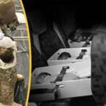 Afganistan’dan kaçışın hatırlattığı: Vietnam “Bebek Kurtarma” operasyonu 