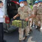 Elmacı dede  Mehmet&ccedil;iğe bu kez &uuml;z&uuml;m taşıdı