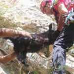 Kanyonda mahsur kalan ke&ccedil;ilerin yardımına raftingciler koştu