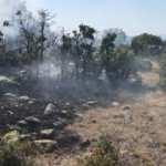 Konya'da makilik yangını