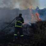 Mardin Mazıdağı'nda orman yangını 