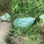 Sakarya&rsquo;da akılalmaz olay! &Ouml;nce 8 &ccedil;uval şimdi de 3 &ccedil;uval dolusu &ouml;l&uuml; tavuk