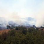 Son Dakika: Kula'da makilik yangını ormana sıçradı!
