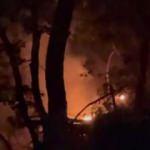 Yıldırım d&uuml;şt&uuml;, ormanda yangın &ccedil;ıktı