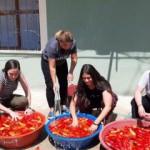 3 ABD'li genç kız Adana'da köy hayatı yaşadı!