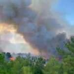 &Ccedil;anakkale'deki orman yangınlarında 30 hektarlık alan zarar g&ouml;rd&uuml;