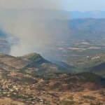 Son dakika: Balıkesir'de orman yangını