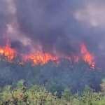 Son Dakika... &Ccedil;anakkale'de orman yangını &ccedil;ıktı