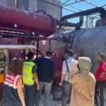 Ankara'da besi &ccedil;iftliğine "10 numara yağ" baskını: 1.2 milyon TL ceza, 2 g&ouml;zaltı