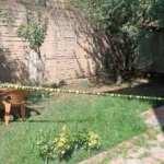 Eski kiracısını t&uuml;fekle vurdu 