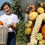 Genç girişimci Öznur Gülden ata mesleği çiftçiliğe döndü! Minyatür kabak üretiyor