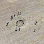 Konya'nın ardından Ankara'ya sı&ccedil;radı! Tedirgin eden g&ouml;r&uuml;nt&uuml;