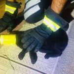 İtfaiyeden kediyi konserve kutusundan kurtarma operasyonu