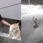 K&ouml;peklerden ka&ccedil;an &ccedil;ocuk kolunu kırdı o anlar kameralara yansıdı