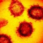 "Mu" varyantında "Beta-Gama-Delta" izleri