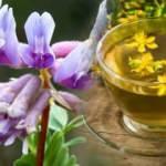 Çin geveni otu faydaları nelerdir? Çin geveni (astragalus) nasıl kullanılır?