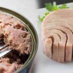 Kalbi koruyor, beyni geliştiriyor! Haftada 2 kez ton balığı yerseniz...