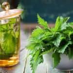 Isırgan otu çayı faydaları nelerdir? Kan dolaşımını arttıran ısırgan otu nasıl kullanılır?