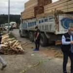 Üzerine kereste düşen kamyon şoförü hayatını kaybetti