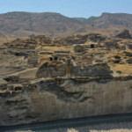 Anadolu'da sadece Hasankeyf'te bulunuyor!