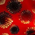 DSÖ'den Delta ve Mu varyantı açıklaması