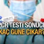 PCR testi sonucu kaç günde çıkar? Korona testi sonucu kaç saate öğrenilir?