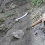 Korkutan görüntü! Her yerden kafatası ve kemikler çıkıyor