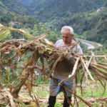 Atandığı ülkeye gidemeyen büyükelçi kendini bahçe işlerine verdi
