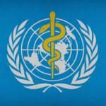 DSÖ koronavirüsün Mart 2022'ye kadar bitebileceğini bildirdi