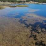Eski halinden eser kalmadı! B&ouml;yle giderse yosundan g&ouml;r&uuml;nmeyecek   
