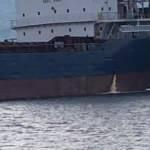 İzmit Körfezi'ni kirleten gemiye 1 milyon 804 bin TL ceza