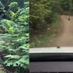 Karab&uuml;k&rsquo;te seyir halindeyken bir anda &ouml;nlerine &ccedil;ıktılar