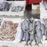 Hava şartları balık fiyatlarını olumsuz etkiledi