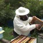 İstanbul'da bir ilk! Kestane balı coğrafi işaret tescili aldı