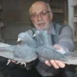 Ali amca 50 yıldır evladım deyip yanından ayırmıyor