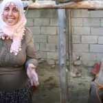 Ergani'de köpek saldırısında keçileri telef olan kadına kaymakam sahip çıktı