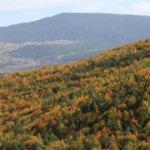 Mudurnu'da hazan c&uuml;mb&uuml;ş&uuml;