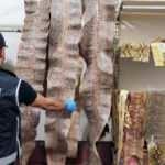 Nesli tehlikedeki yılanların derilerinden ayakkabı ve &ccedil;anta yapacaklardı