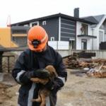 Bolu&rsquo;da yavru k&ouml;peğin imdadına itfaiye koştu!